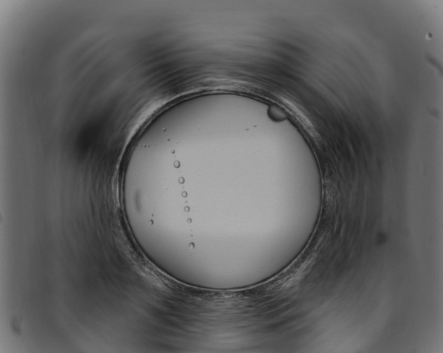 X0000094960891200711291125