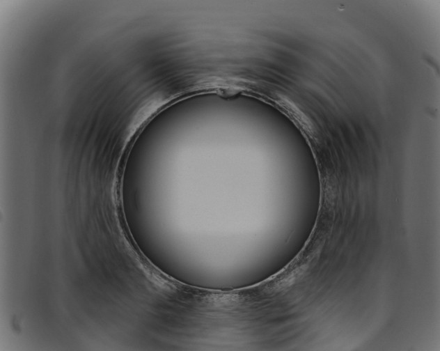 X0000094960893200711291125