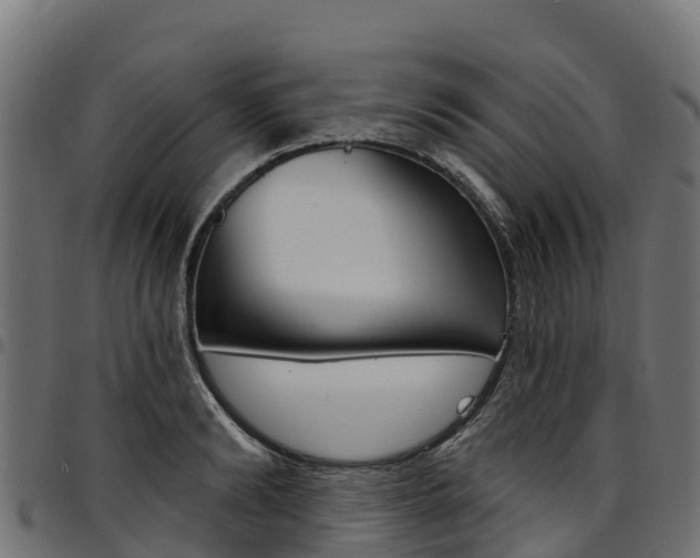 X0000094960894200711291125