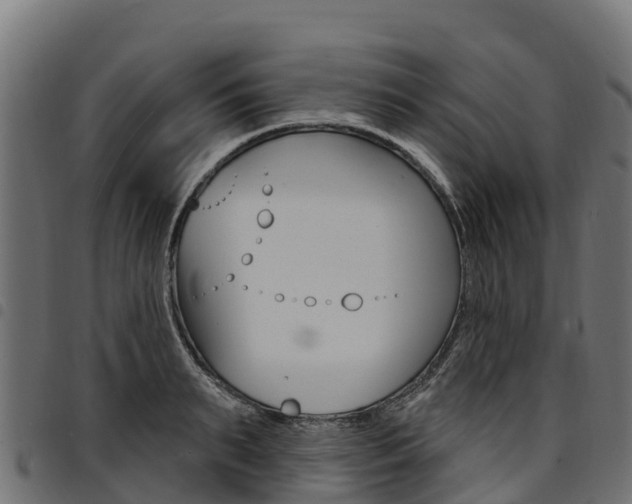 X0000094960895200711291125