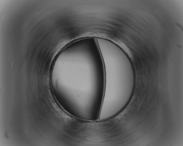 X0000094960896200711291125