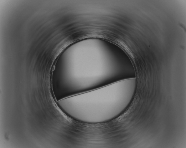 X0000094960898200711291125