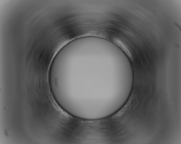 X0000094960900200711291125