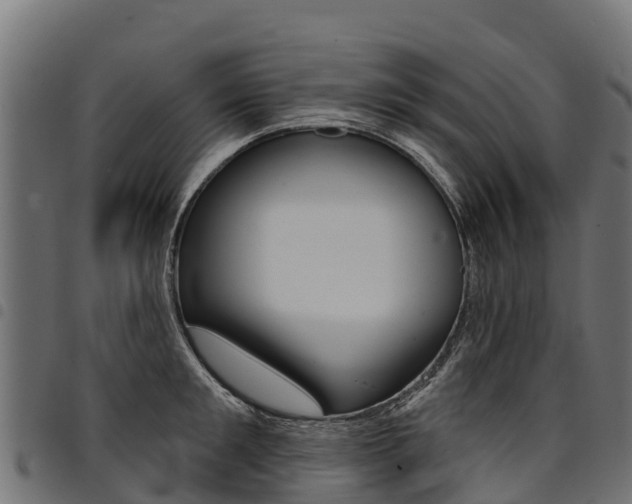 X0000094960901200711291125