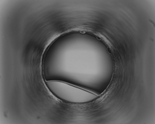 X0000094960902200711291125