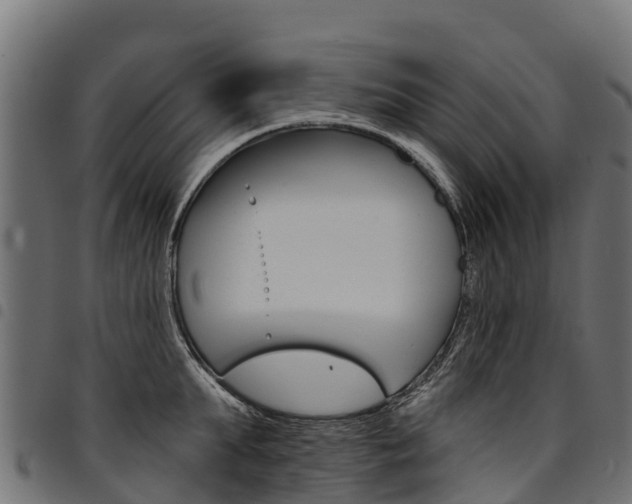 X0000094960903200711291125