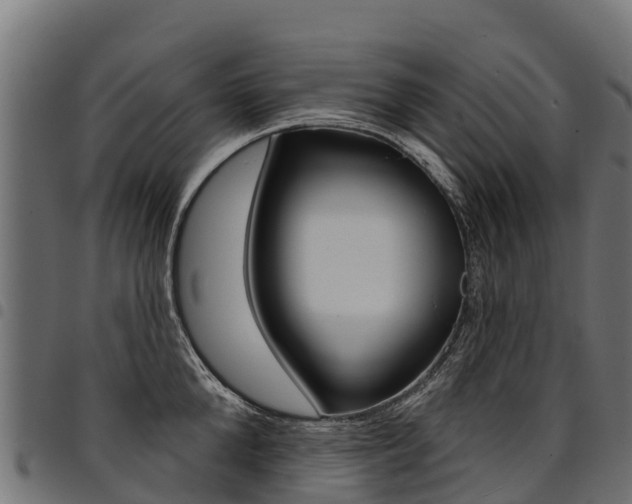X0000094960904200711291125