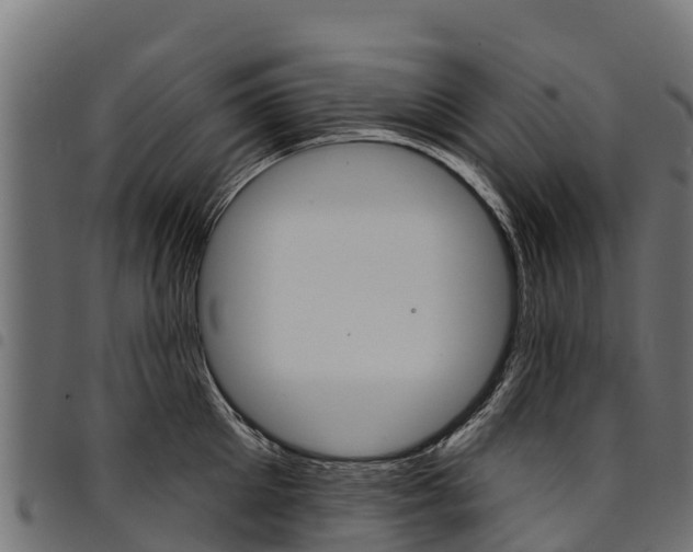 X0000094960905200711291125