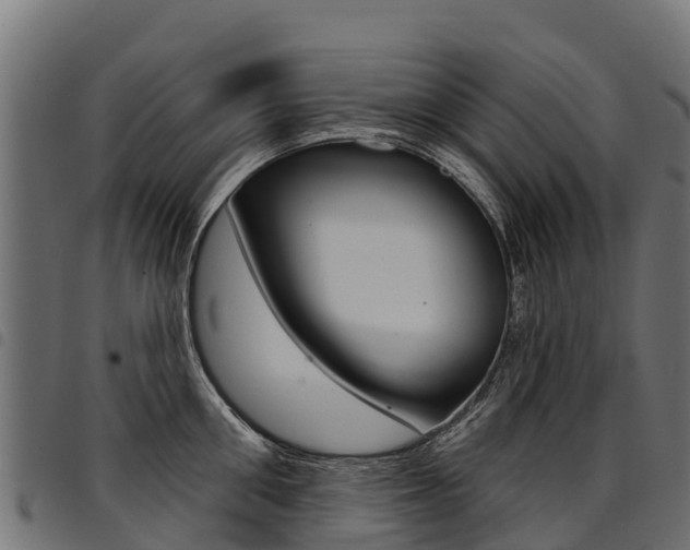 X0000094960906200711291125