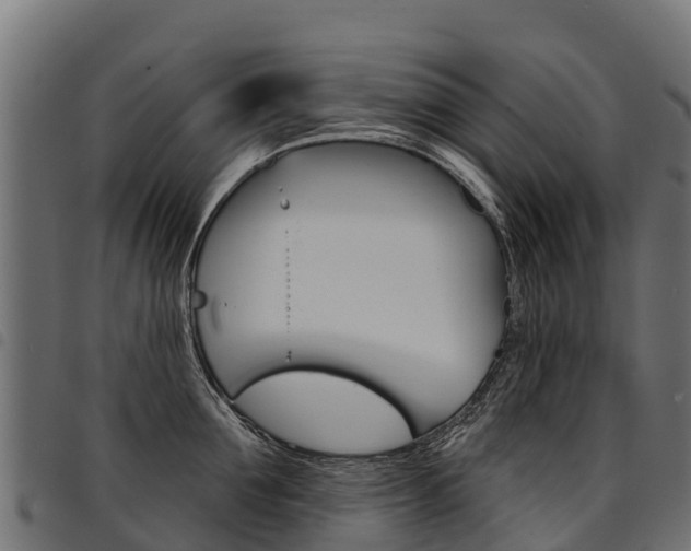 X0000094960907200711291125