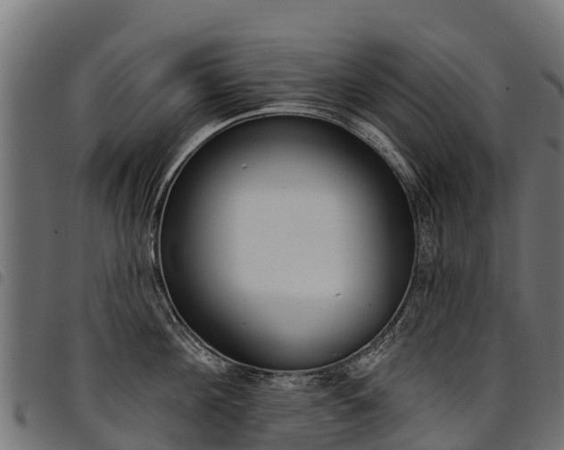 X0000094960908200711291125
