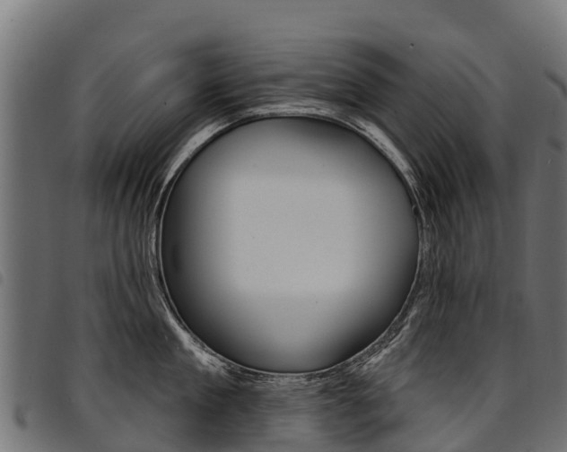 X0000094960909200711291125