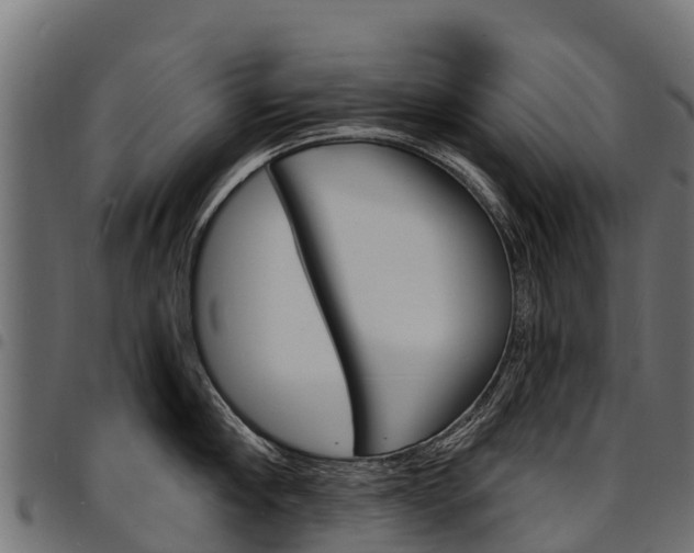 X0000094960910200711291125