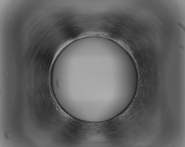 X0000094960912200711291125