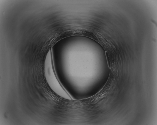 X0000094960916200711291124