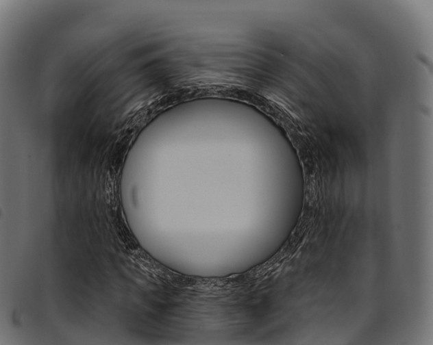 X0000094960917200711291124