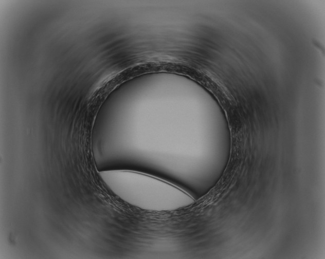 X0000094960919200711291124