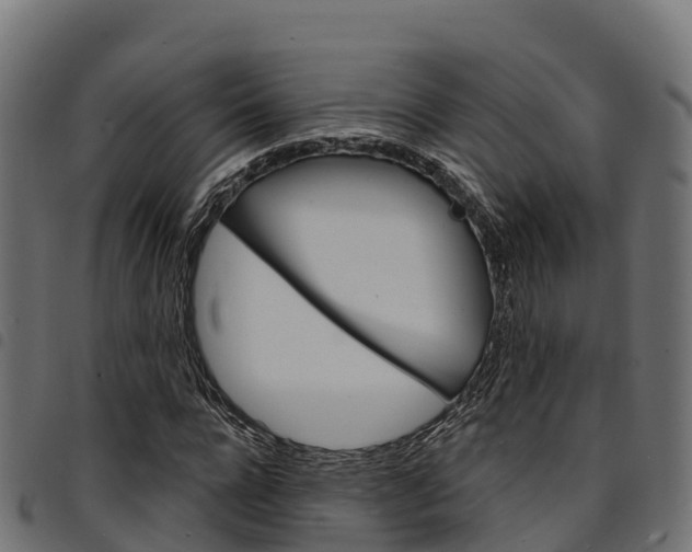 X0000094960920200711291124