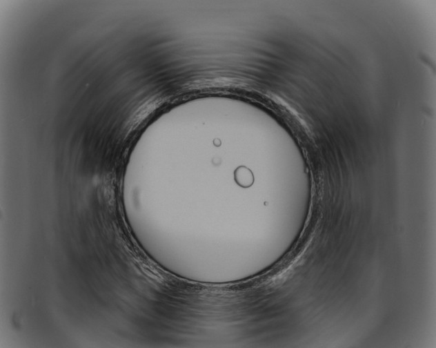 X0000094960921200711291124