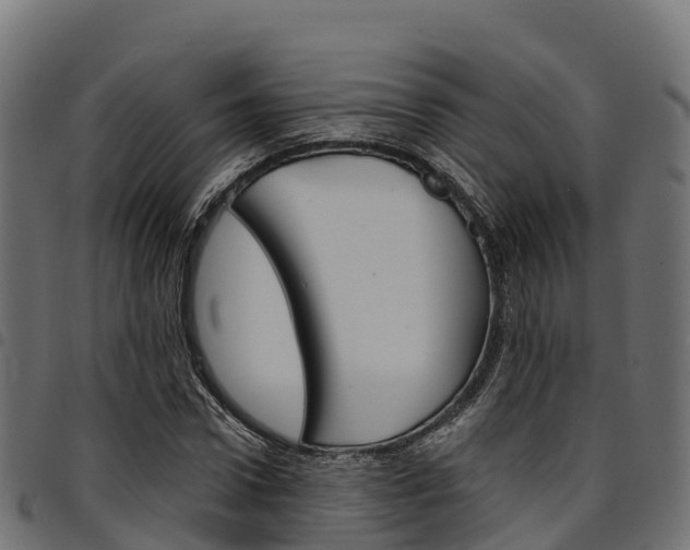 X0000094960922200711291124