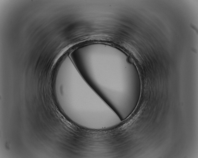 X0000094960923200711291124