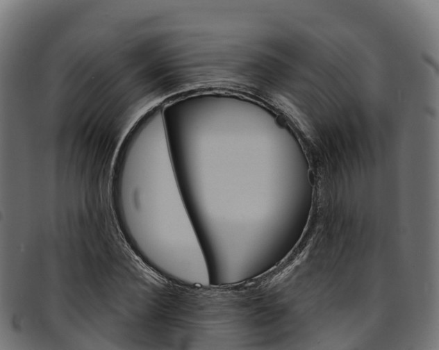 X0000094960924200711291124