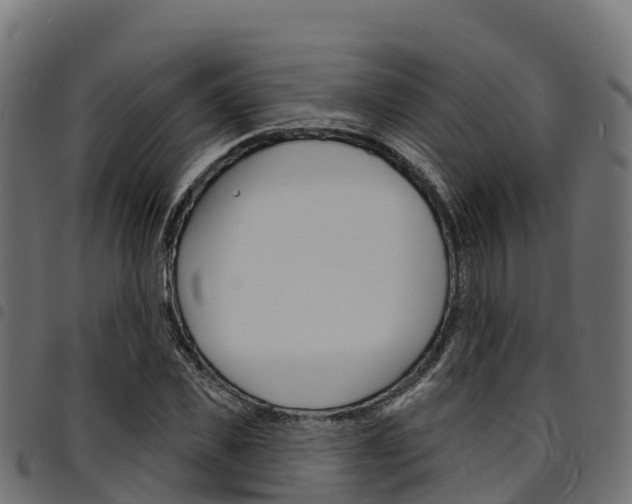 X0000094960925200711291124