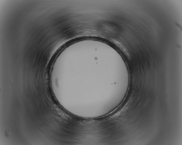 X0000094960926200711291124