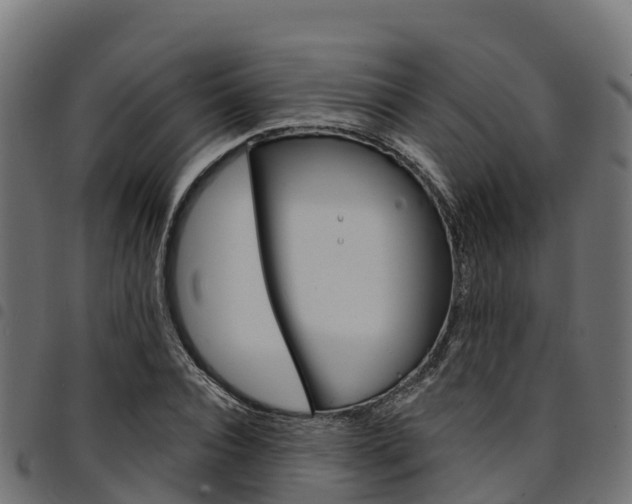X0000094960928200711291124