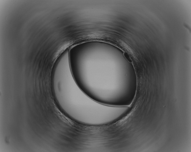 X0000094960930200711291125