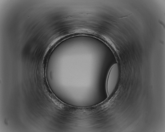 X0000094960931200711291125