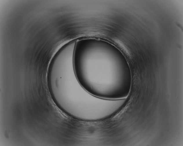 X0000094960932200711291125