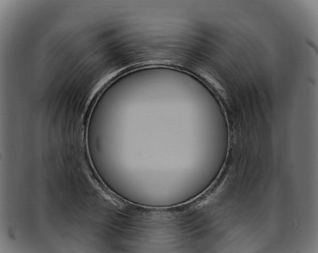 X0000094960933200711291125