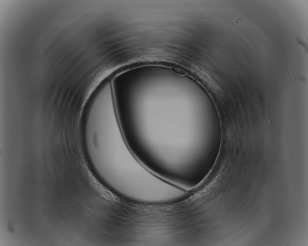 X0000094960934200711291125