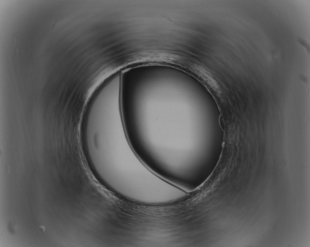 X0000094960936200711291125