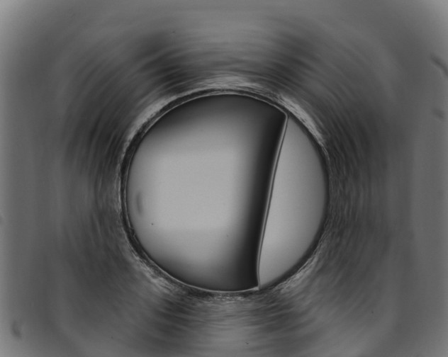 X0000094960939200711291125