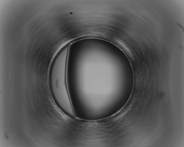 X0000094960940200711291125
