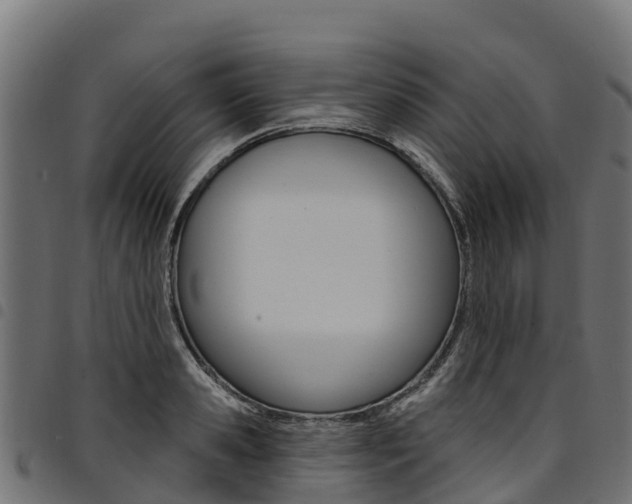 X0000094960941200711291125