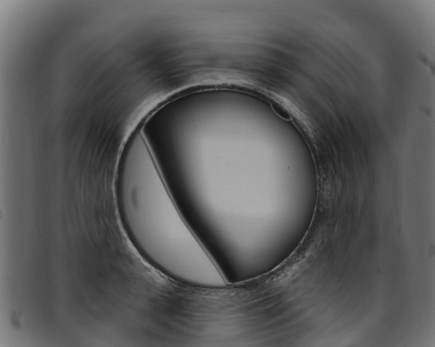 X0000094960943200711291125