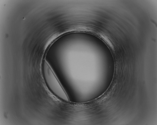 X0000094960944200711291125
