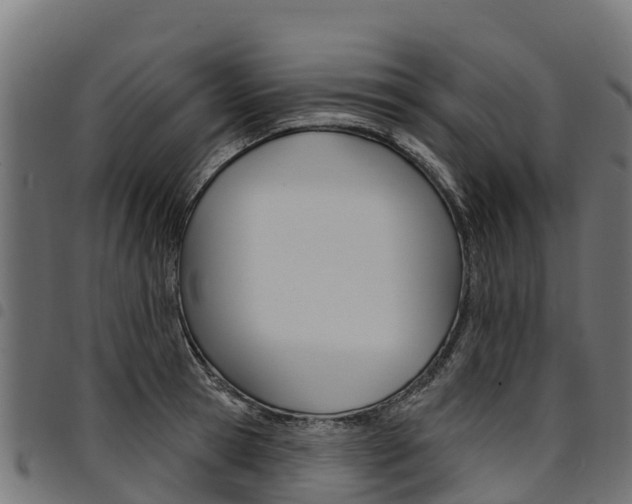 X0000094960945200711291125