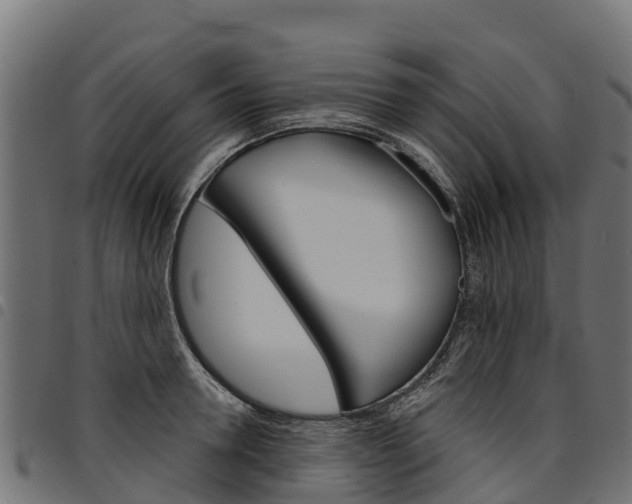 X0000094960946200711291125
