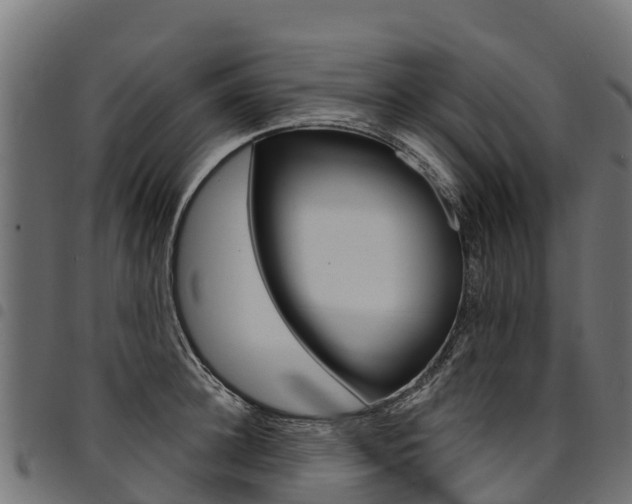 X0000094960948200711291125