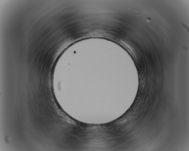 X0000094960950200711291125