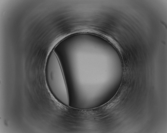 X0000094960951200711291125