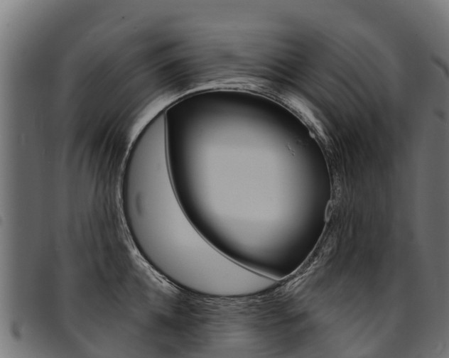 X0000094960952200711291125