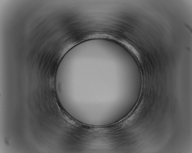 X0000094960953200711291125