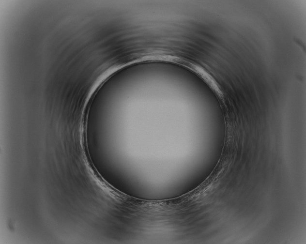 X0000094960955200711291125