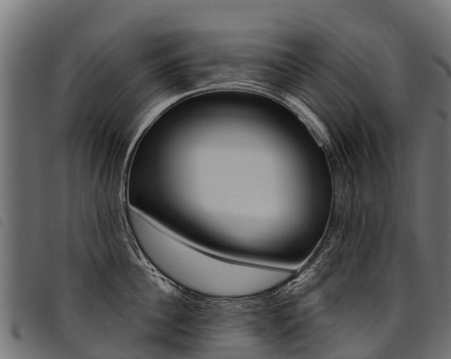 X0000094960956200711291125