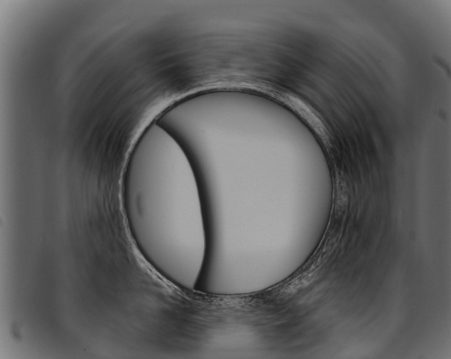 X0000094960958200711291125
